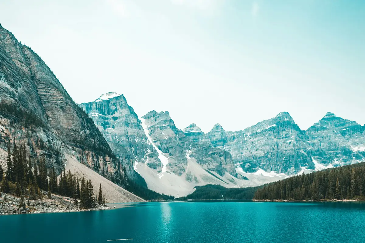 Błędy w Module 1 – administracja zabija projekty